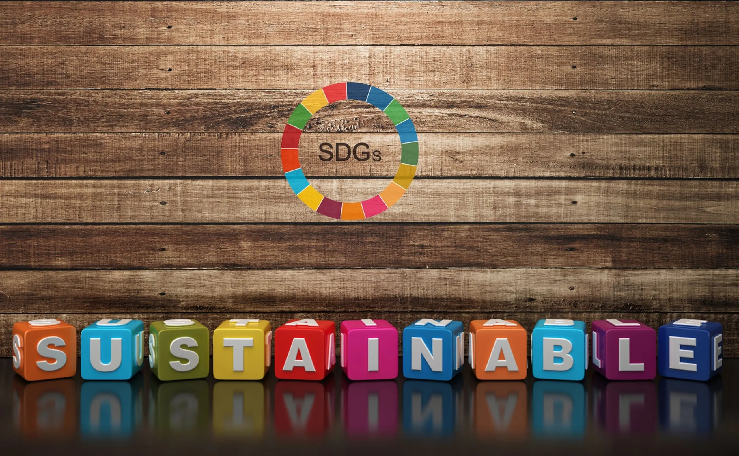 Sustainabele Development Goals der UN