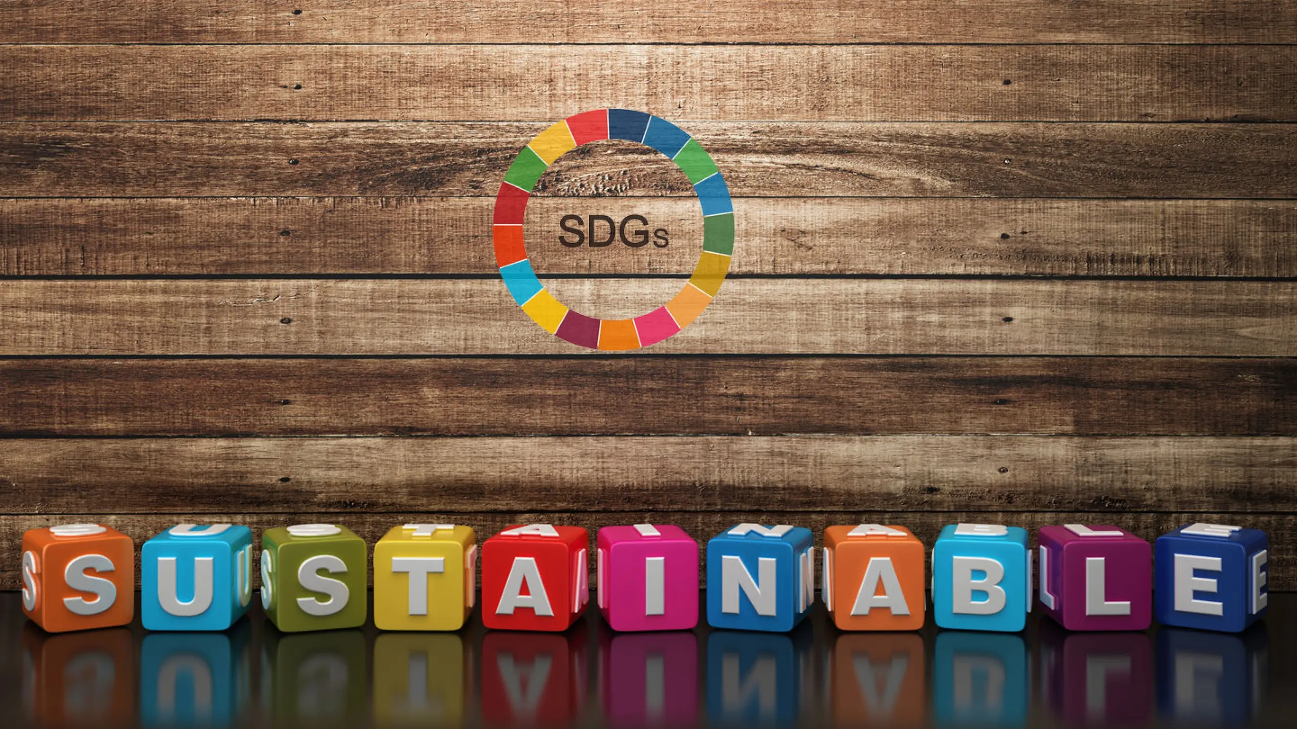 Sustainabele Development Goals der UN