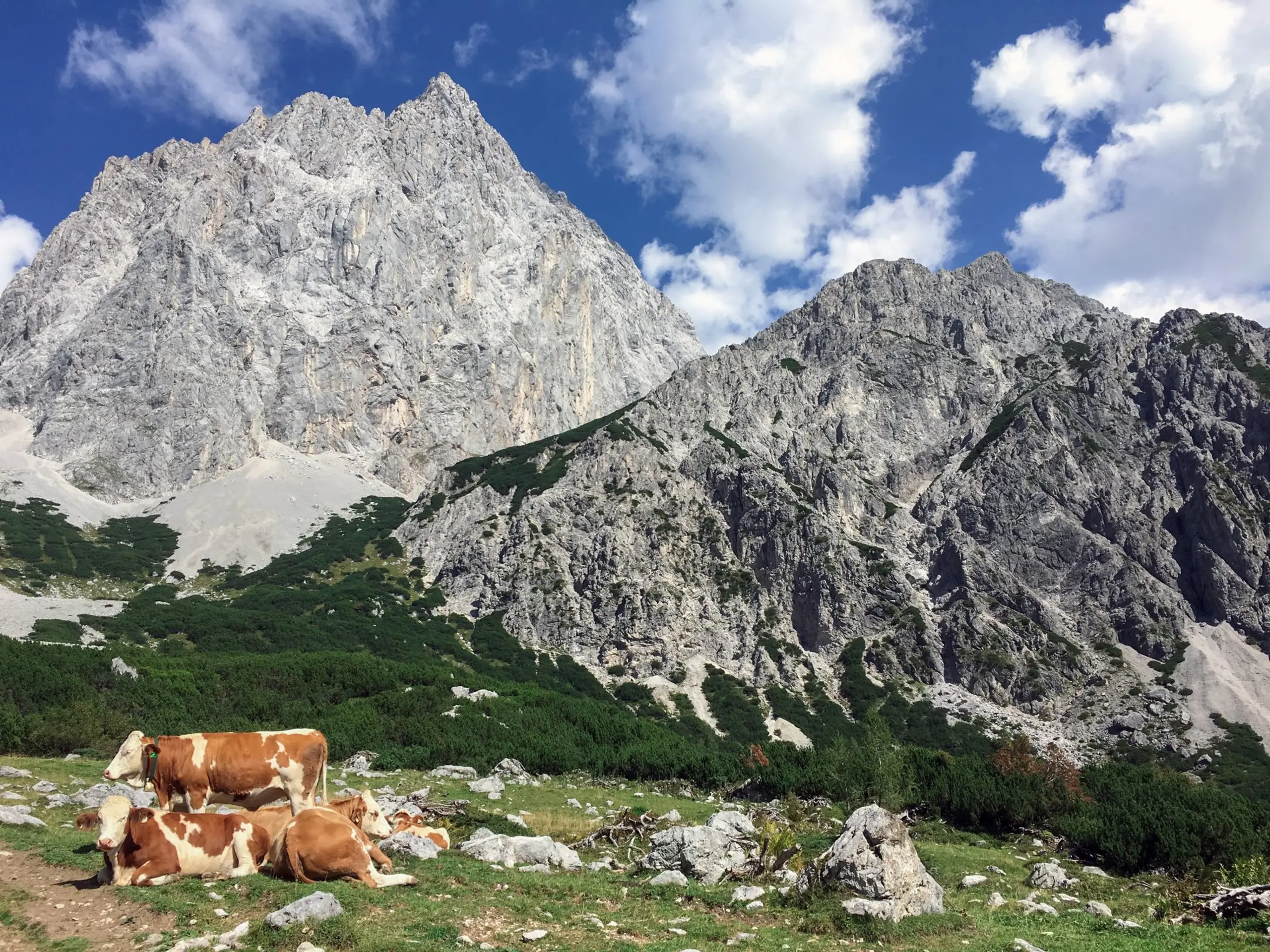 Land der Berge: Wem die Alpen gehören