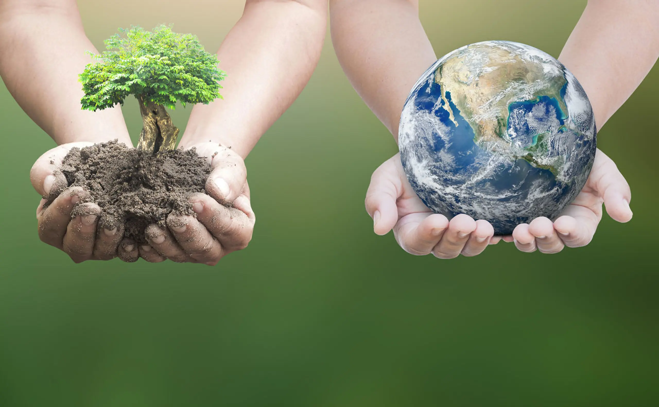 ESG-Investments: Nachhaltigkeit und Krisenschutz
